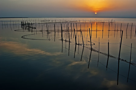 golden sunset with warm colors in the albufera lake in Valencia, Spain with fishing traps on the waterの写真素材