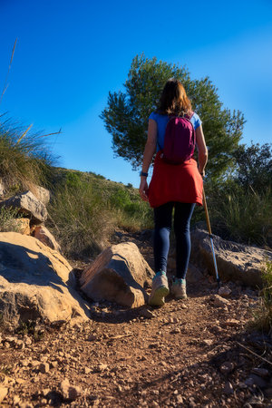 girl hiking on a trail in the mountain with a walking stick in the summerの写真素材