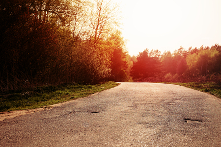 Forest Road Under Sunset Sunbeams. Lane Running Through The Autumn Deciduous Forest At Dawn Or Sunrise. Toned Instant Photoの写真素材