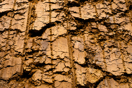 dry brown ground cracked clay texture backgroundの写真素材