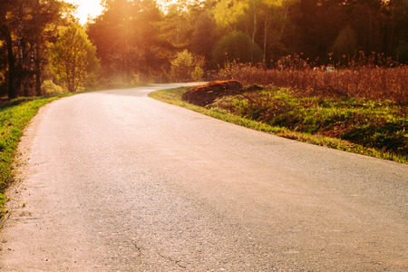 Forest Road Under Sunset Sunbeams. Lane Running Through The Autumn Deciduous Forest At Dawn Or Sunrise. Toned Instant Photoの写真素材