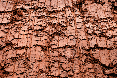 dry brown ground cracked clay texture backgroundの写真素材