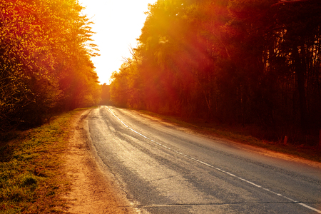 Forest Road Under Sunset Sunbeams. Lane Running Through The Autumn Deciduous Forest At Dawn Or Sunrise. Toned Instant Photoの写真素材