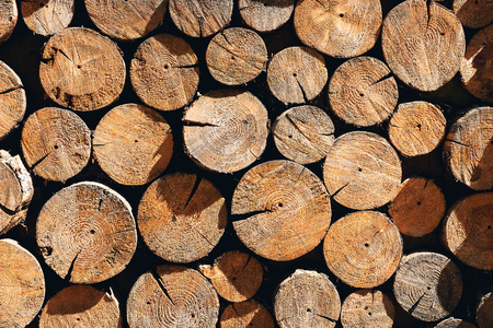 Small piece of natural old wood logs used for design decorated wall, backgroundの写真素材