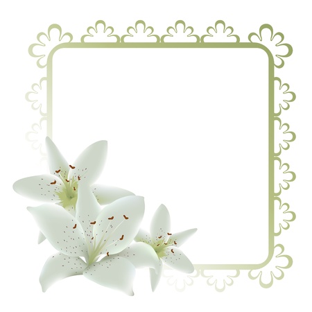 Lily flowers frameのイラスト素材