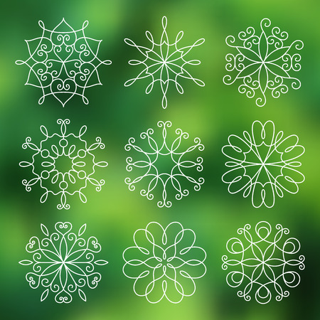 Set of contour line flowers, empty, monochromatic.のイラスト素材