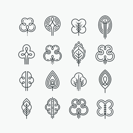 Set of graphical line trees and leaves, mono line design collection of nature signs and symbols.のイラスト素材