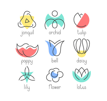 Color shapes and line geometrical flowersのイラスト素材