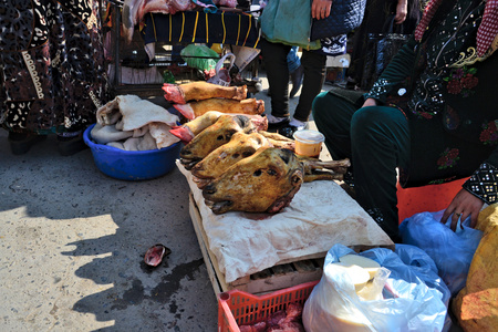 Uzbekistanの写真素材