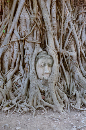 Thailand Bangkok Ayutthayaの写真素材