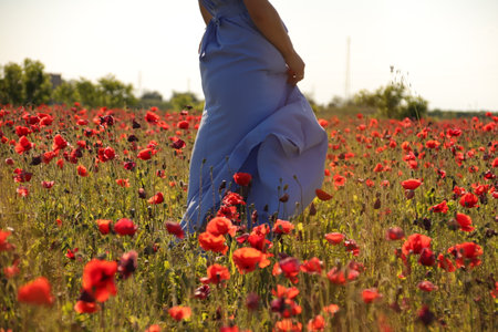 Young woman walking in poppy field at sunset, back view, closeupの写真素材