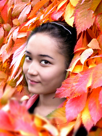 photography of the beautiful girl on background autumn sheetの写真素材