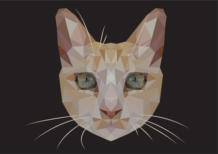 Vector cat image tracing on dark background Simple geometric shapes Low Poly Art.の写真素材