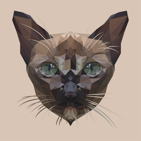 Vector Dark brown cat with light green eyes. Simple geometric shapes Low Poly Art.の写真素材