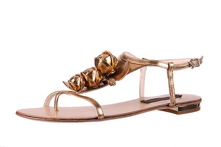 Ornate gold womans fashion shoeの写真素材