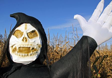 Grim Reaper Death inflatable in a corn fieldの写真素材
