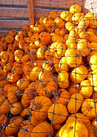 Orange Pumpkins in a wooden crate