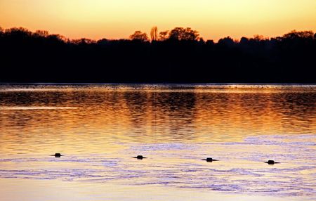 Sunset winter view of lake and trees at duskの写真素材