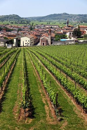 The Italian town of Soave, famous for its wine and grape vineyardsの写真素材