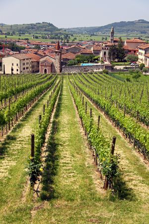The Italian town of Soave, famous for its wine and grape vineyardsの写真素材