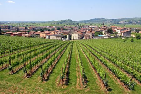 The Italian town of Soave, famous for its wine and grape vineyardsの写真素材