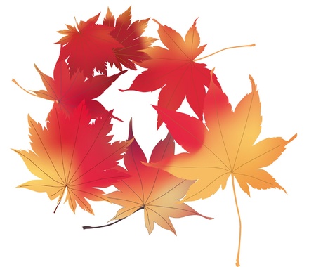 autumn leavesのイラスト素材