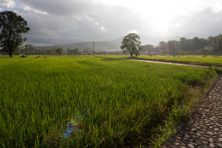 hongcun villageの写真素材