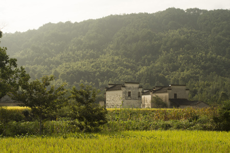 Tachuan villageのeditorial素材