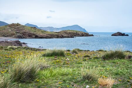 View of the Embarcadero Beach at Los Escullos with plants in the foreground and rocks in the background on a cloudy dayの写真素材