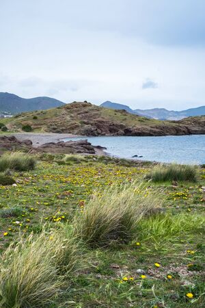 View of the Embarcadero Beach at Los Escullos with plants in the foreground and rocks in the background on a cloudy dayの写真素材