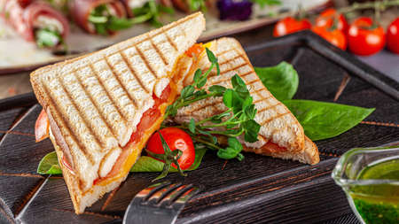 European cuisine. Homemade sandwich or bread toast with chicken, tomatoes and cheese. Beautiful serving dish in a restaurant in a white plate. background image, copy space textの写真素材
