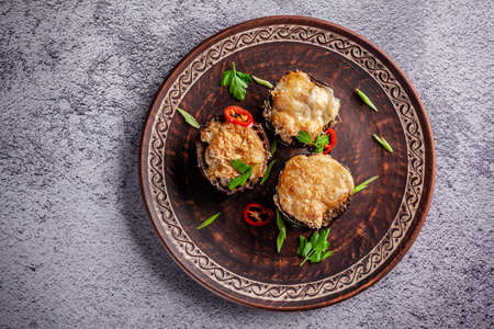 Arabian cuisine. Turkish eggplant dish with chicken and cheese. Background image. copy spaceの写真素材