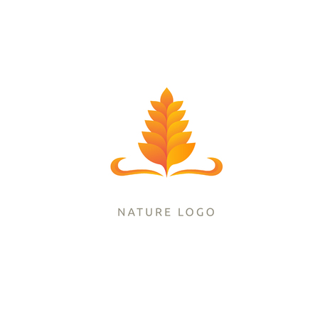 Illustration design of elegant, premium and royal logotype leaf . Vector icon of gold ear.のイラスト素材
