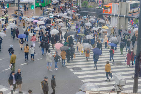 Scramble intersection in Shibuya-ku, Tokyo on a rainy dayのeditorial素材