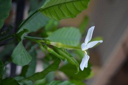 landscape Natuerの写真素材