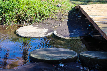 portrait photo of wooden walkway to pass through puddlesの写真素材