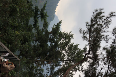 cool and fresh natural scenery with trees during the day pijar gardenの写真素材