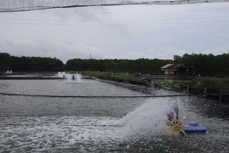 A water portrait of a breeding pond on Kodok Island beach with large, green trees.の写真素材