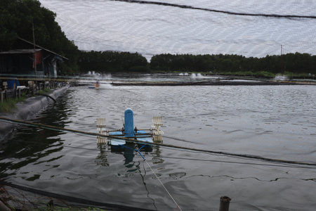 A water portrait of a breeding pond on Kodok Island beach with large, green trees.の写真素材