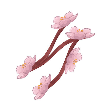 cherry blossomのイラスト素材