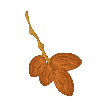 datesのイラスト素材