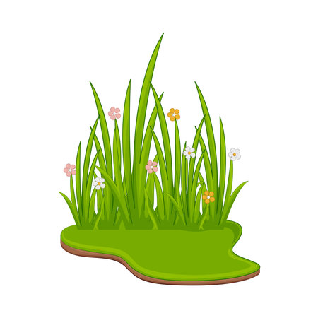 grass flowerのイラスト素材