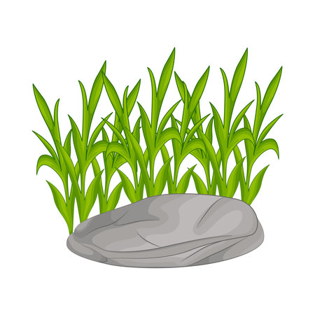 grassのイラスト素材