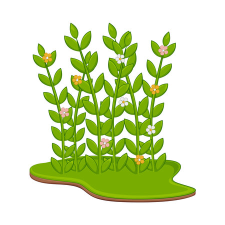 grass flowerのイラスト素材