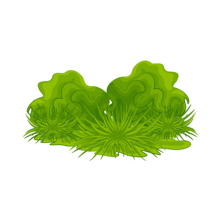 grassのイラスト素材