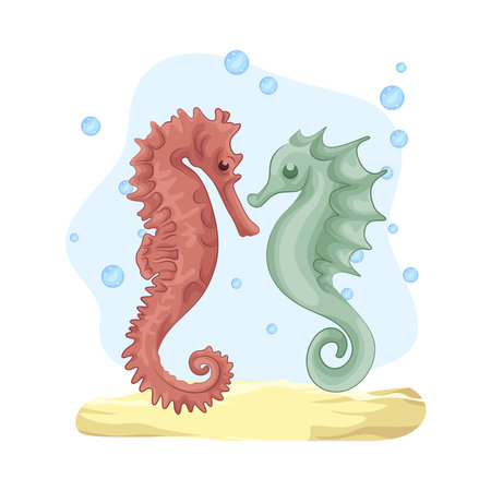 two seahorseのイラスト素材