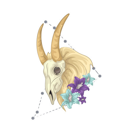 Capricornのイラスト素材