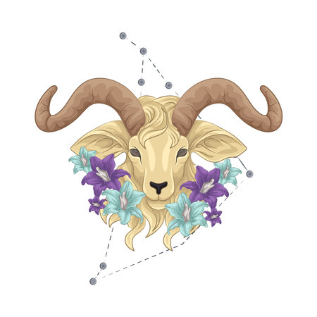 Capricornのイラスト素材