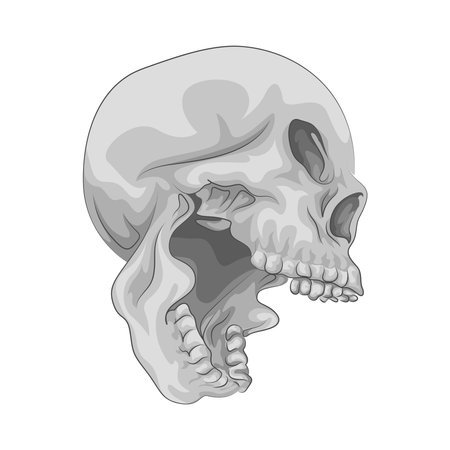 skullのイラスト素材