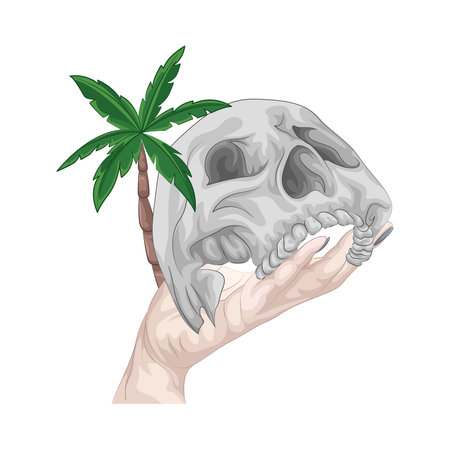 skull and palmのイラスト素材